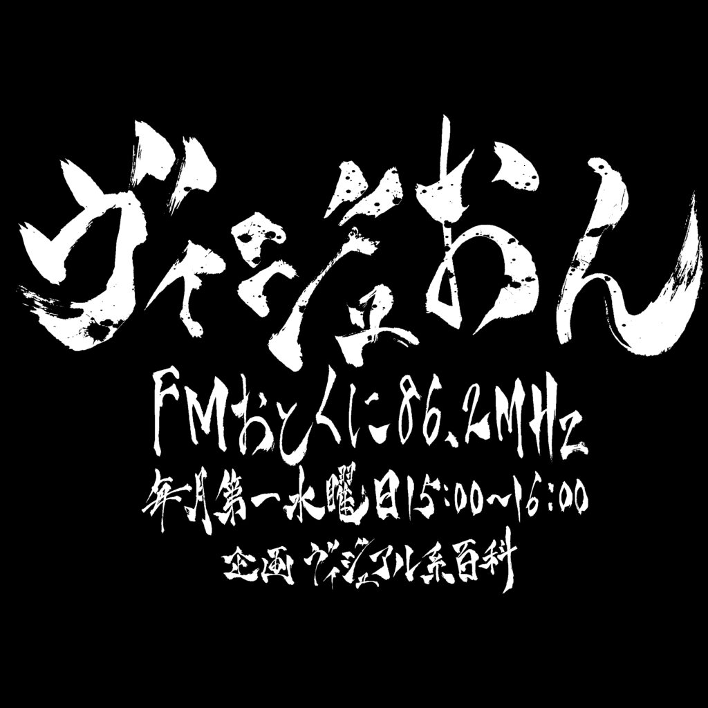 ヴィジュおん